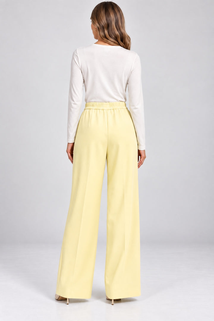 Soleil | Pleated Wide Leg Pants — Yellow (back)
